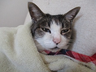 IMG_9976ss.jpg