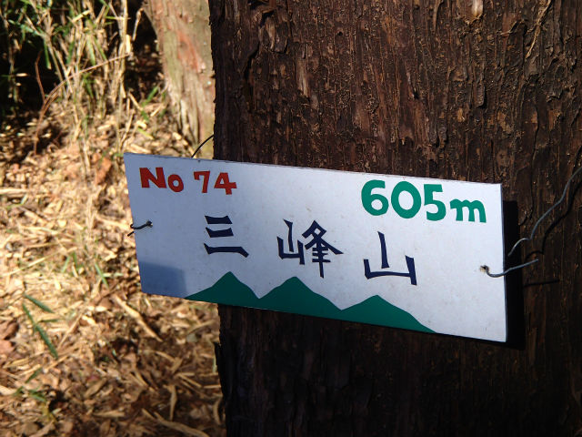 sP1050035.jpg