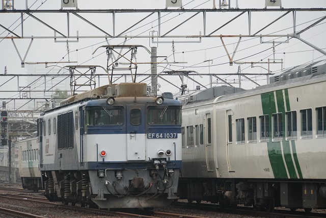 EF64 1053牽引 長野ロングチキ工臨 & 鹿島 & 185系訓練運転5