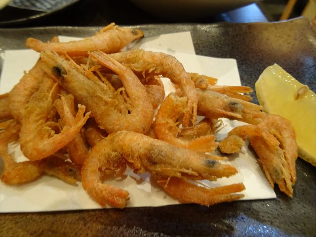 DSC00786_R.JPG
