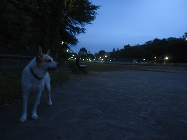 IMG_2450.JPG