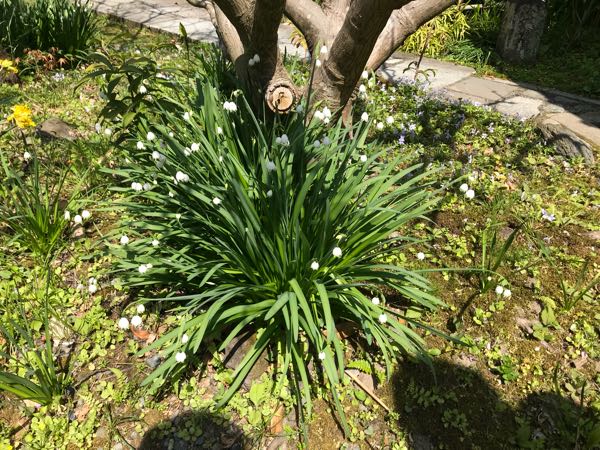 rblog-20180329183139-02.jpg