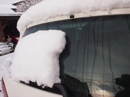 今朝の雪 (4)