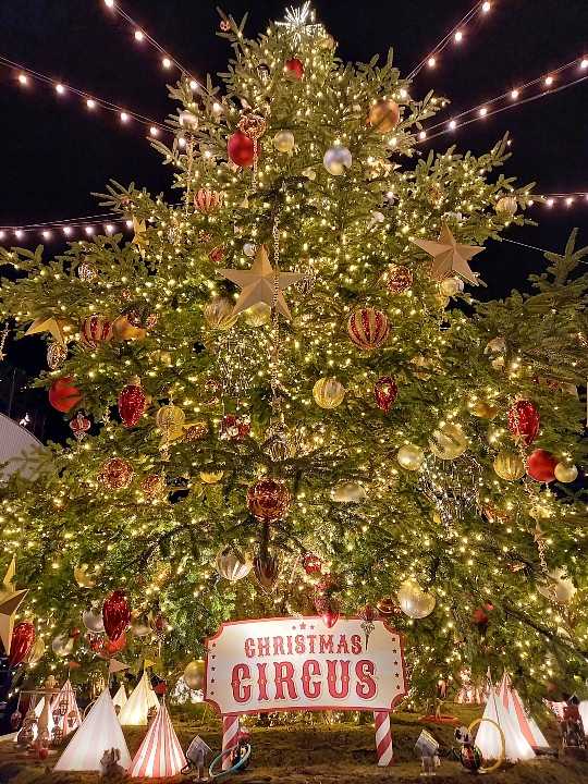 2020 Xmas】横浜クリスマスイルミネーション | ぼのぼの - 楽天ブログ