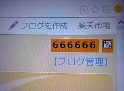 666666.JPG