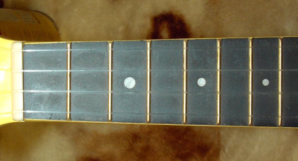fv004.jpg