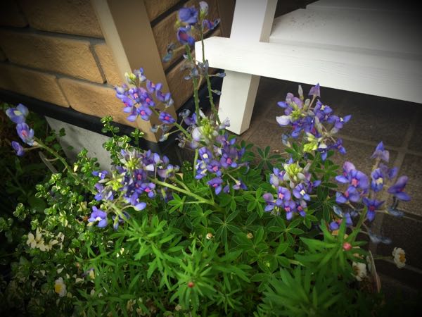 rblog-20160427174731-07.jpg