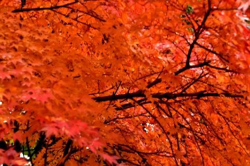 rblog-20171202081200-01.jpg