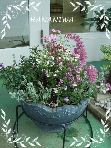 2012_0419トレッサ用寄せ植えとクレマチスの講座とカ0021.JPG