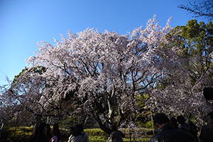 六義園