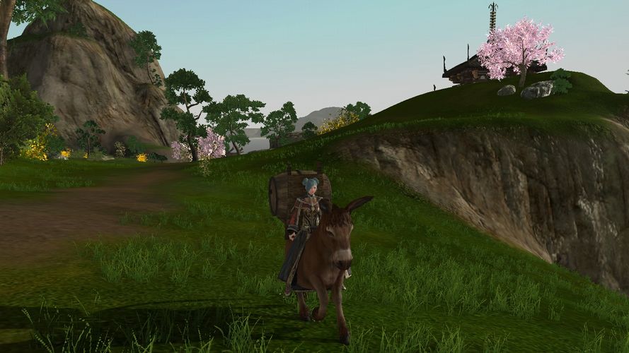 アーキエイジ アーキウムの木 アーキエイジ キャラクリ保存用 楽天ブログ