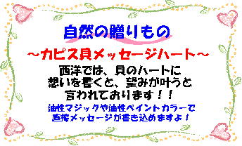 カピス貝のポップ
