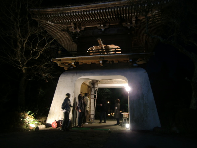 CIMG9182.JPG