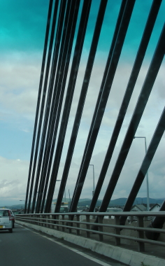 2017-10-03aki (2).JPG