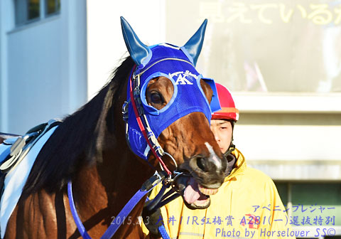 08AveninPleasure020315tck11R_01