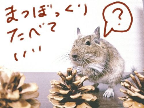 rblog-20171217015700-02.jpg