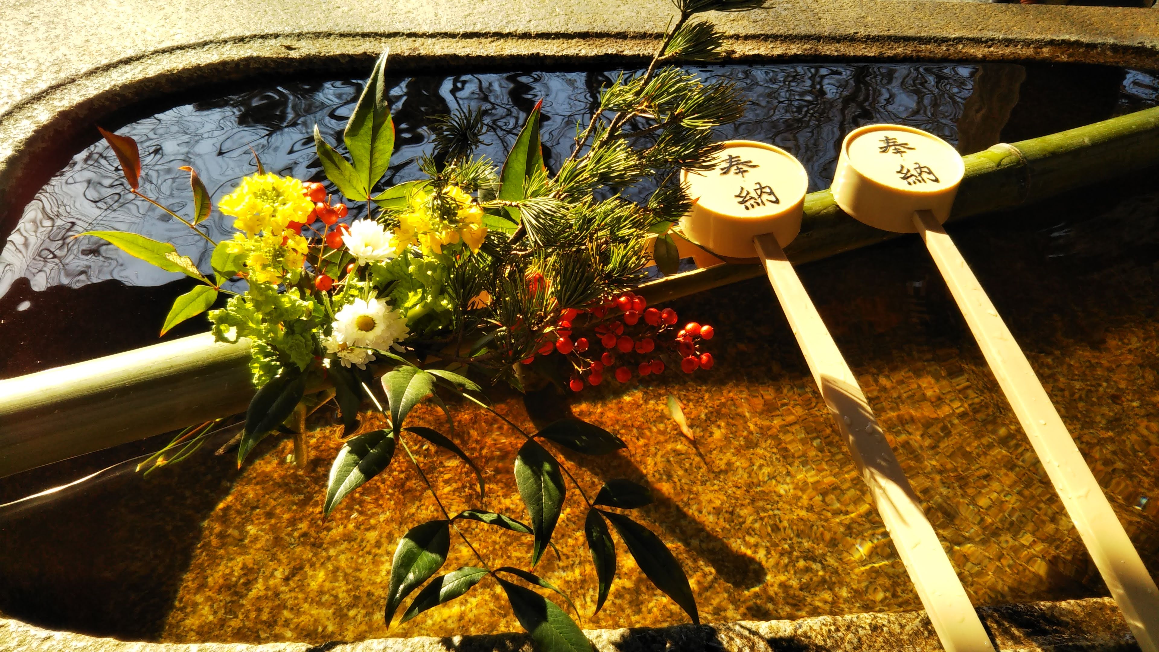 『真如堂』2020 京都に住んで京都を旅する”おばちゃりだー” 楽天ブログ