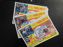conv0064.JPG