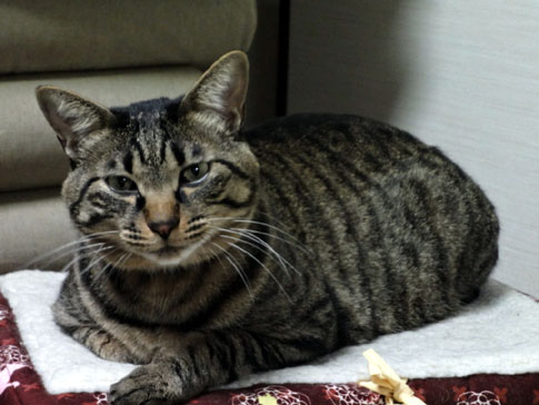 20121229 iku