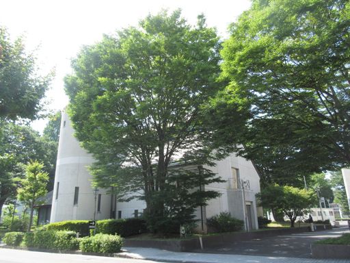 旅行記 の記事一覧 つれづれ花日記 楽天ブログ