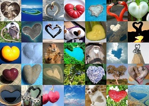 heart