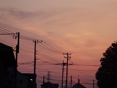 2016_0330_053801-P3301841-5.jpg