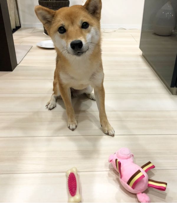 rblog-20180110114501-09.jpg