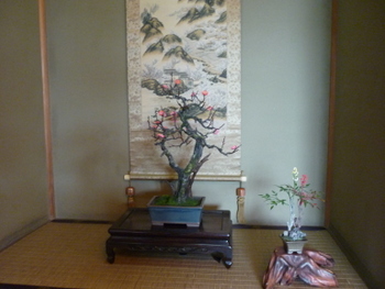 P1060227-001.JPG