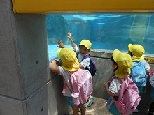 DSCN1126.jpg