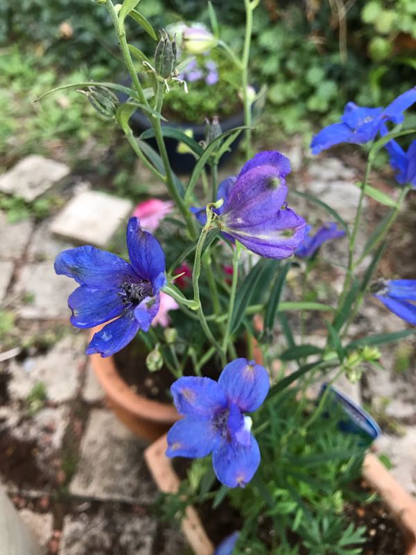 rblog-20190324174020-04.jpg