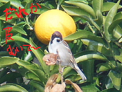 conv0148.JPG