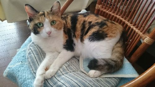 rblog-20170912175925-03.jpg