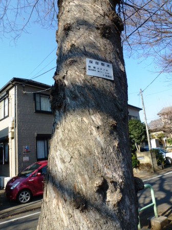 P1110003.JPG