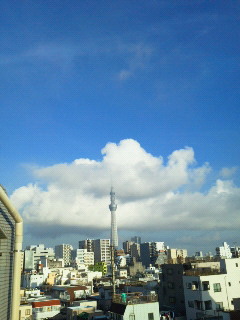 201208250624001.jpg
