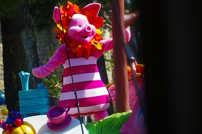 _IGP8061.jpg