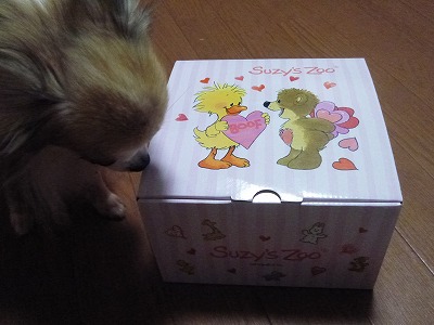 P1050200.JPG
