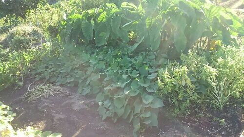 rblog-20160901005708-04.jpg