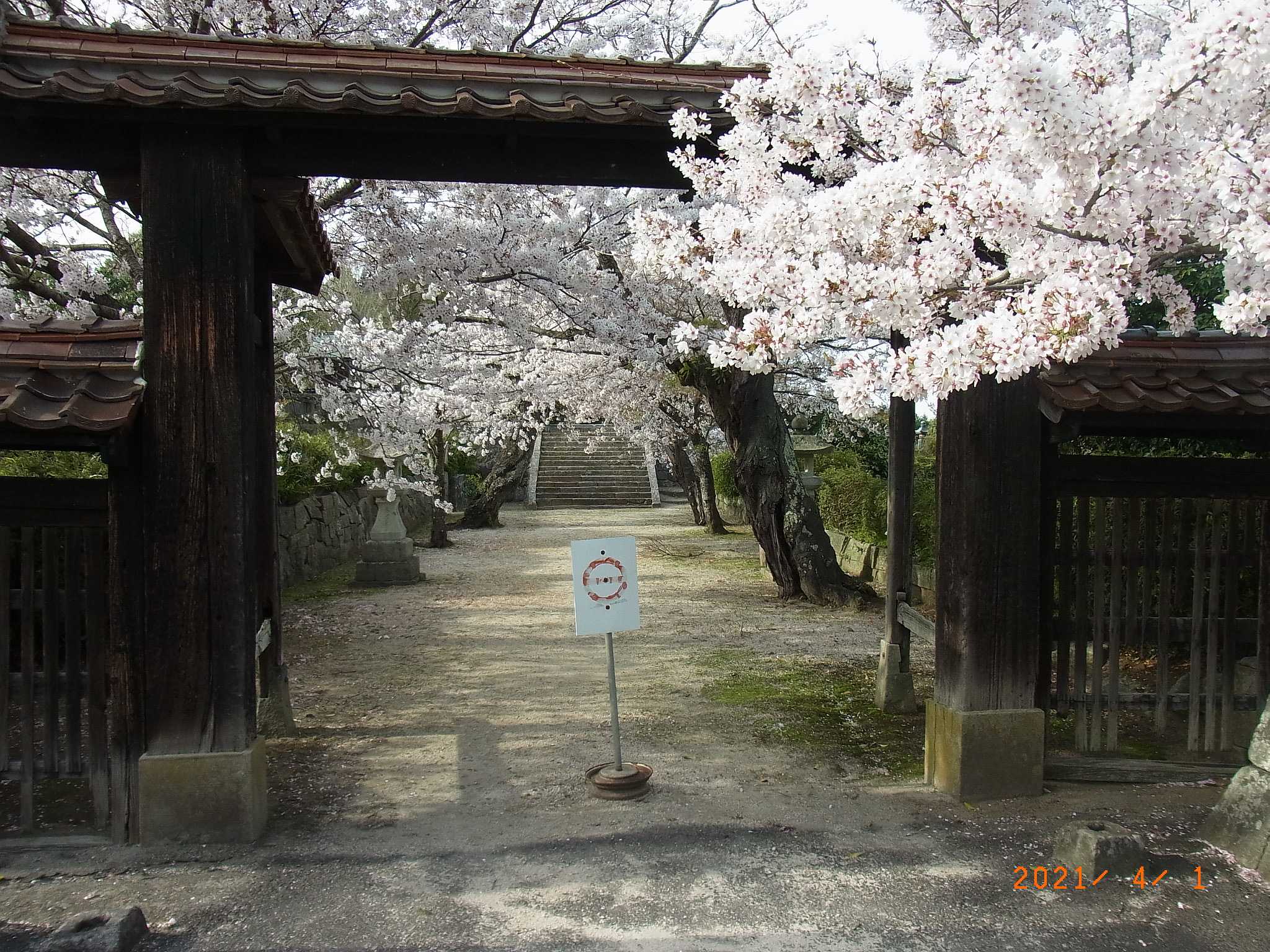 安養寺1