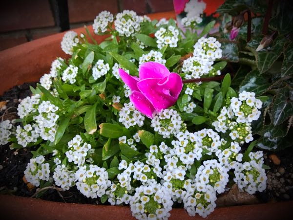 rblog-20161129163609-02.jpg