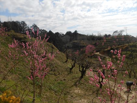 里山公園