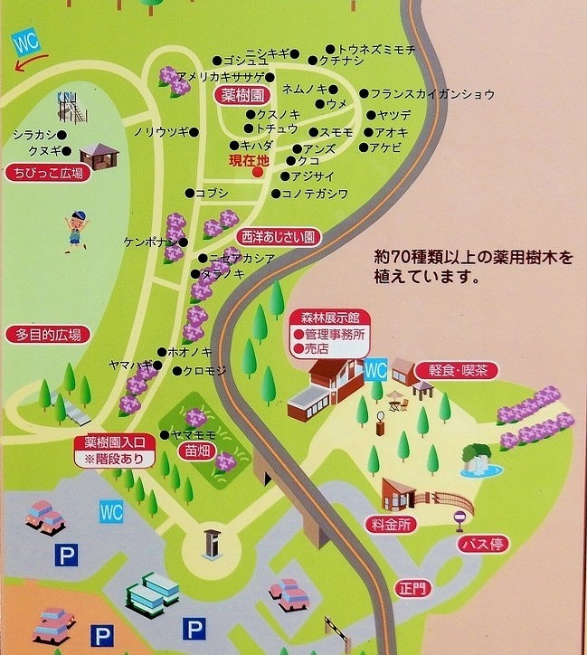薬樹園地図.JPG