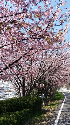 20150327_124233.jpg