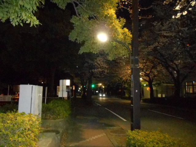 光が丘公園 クリアランス 夜 照明