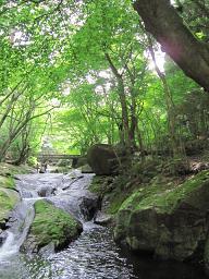 nasu 010.jpg