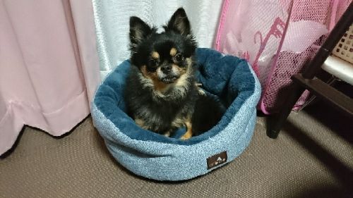 rblog-20171112141003-02.jpg