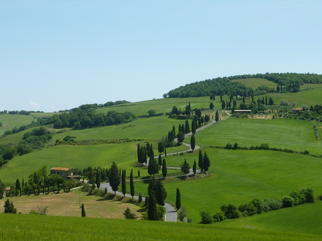 100 (640x480).jpg