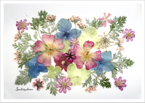 押花ハガキ(体験講座)