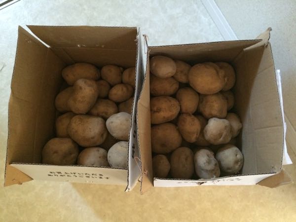 rblog-20151111144735-00.jpg