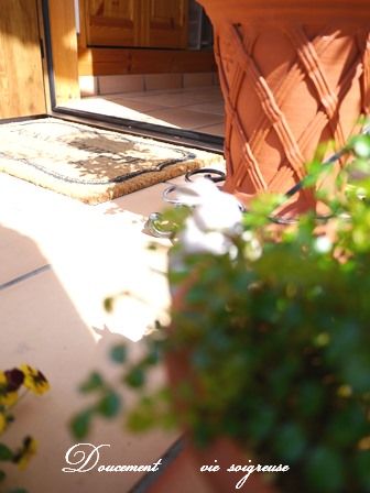 2016.4.12 玄関.JPG