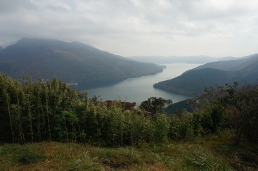 DSC01752.JPG